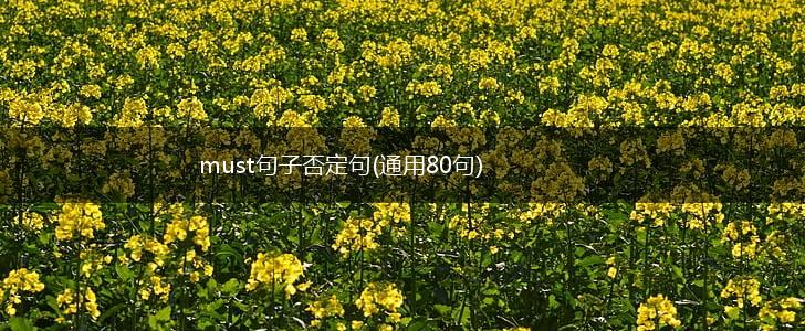 must句子否定句(通用80句),第1张