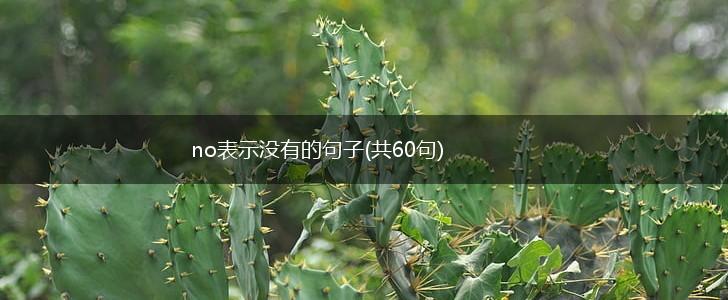 no表示没有的句子(共60句),第1张
