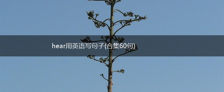 hear用英语写句子(合集60句),第1张