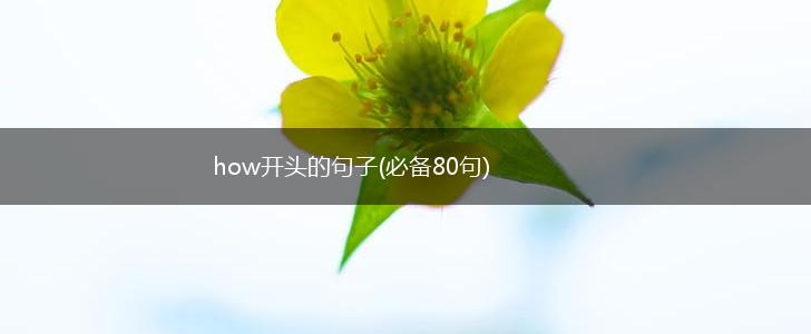 how开头的句子(必备80句),第1张
