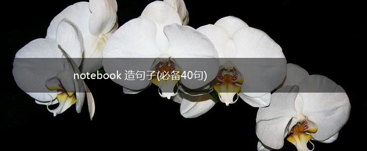 notebook 造句子(必备40句),第1张