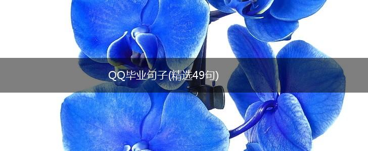 QQ毕业句子(精选49句),第1张