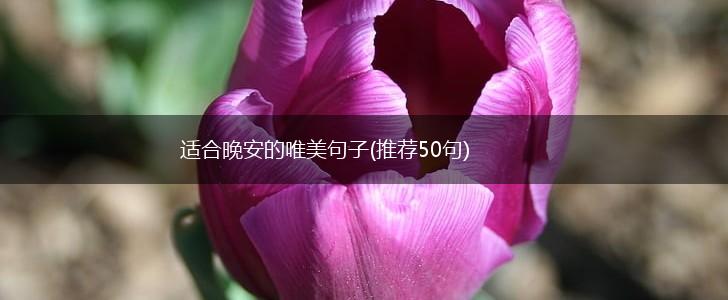 适合晚安的唯美句子(推荐50句),第1张