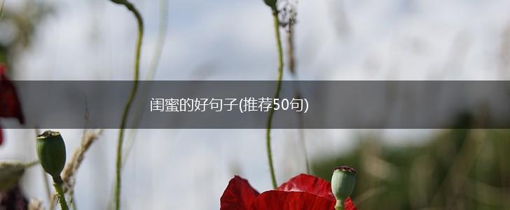 闺蜜的好句子(推荐50句),第1张