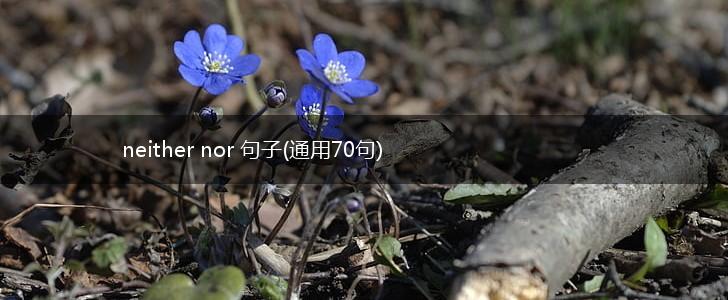 neither nor 句子(通用70句),第1张