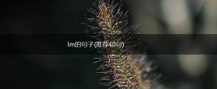lm的句子(推荐40句),第1张