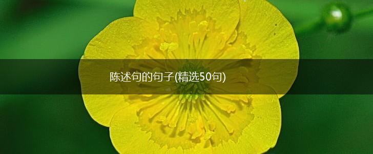 陈述句的句子(精选50句),第1张
