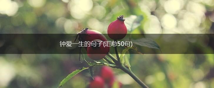 钟爱一生的句子(汇总50句),第1张