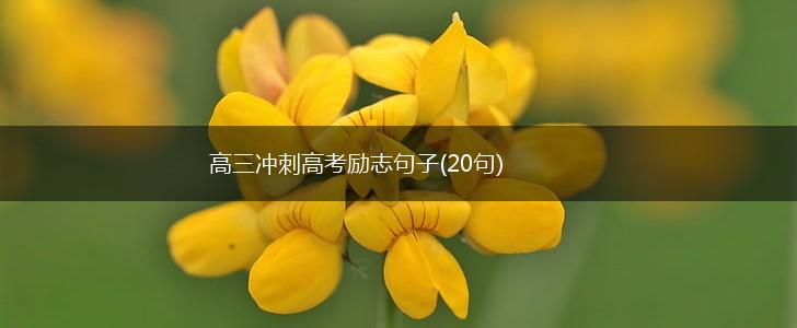 高三冲刺高考励志句子(20句),第1张