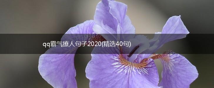qq霸气撩人句子2020(精选40句),第1张
