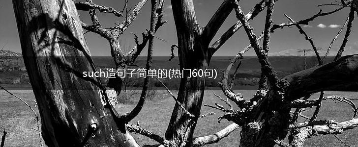such造句子简单的(热门60句),第1张