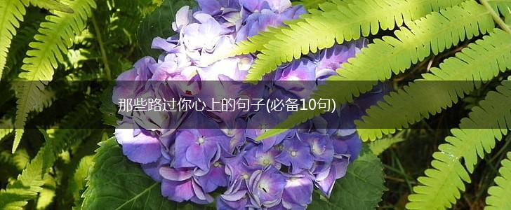 那些路过你心上的句子(必备10句),第1张