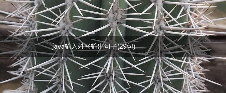 java输入姓名输出句子(29句),第1张