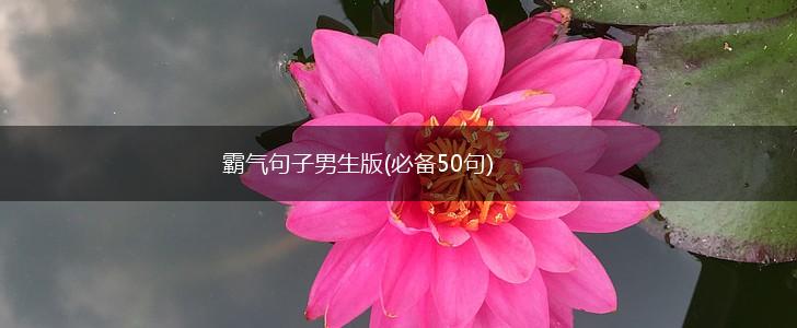 霸气句子男生版(必备50句),第1张