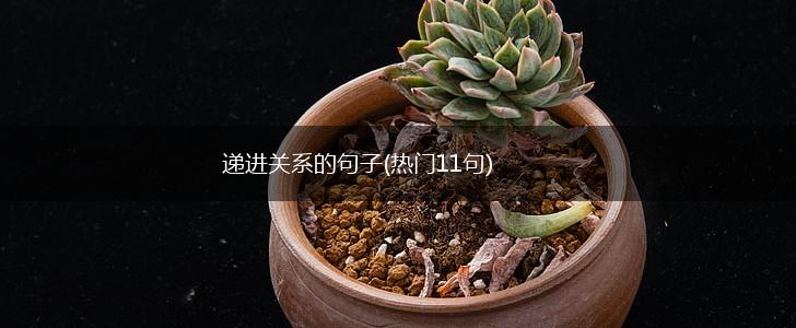 递进关系的句子(热门11句),第1张