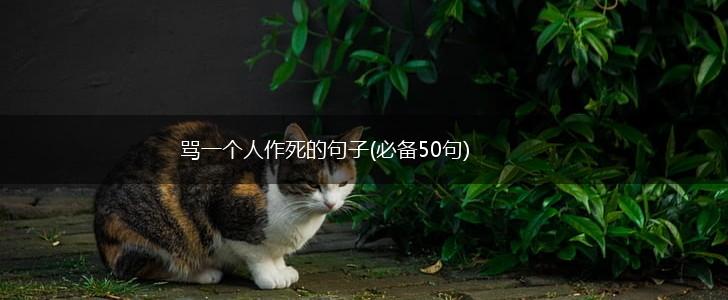 骂一个人作死的句子(必备50句),第1张