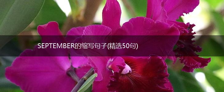 SEPTEMBER的缩写句子(精选50句),第1张