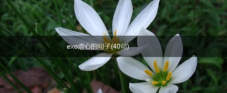 exo虐心的句子(40句),第1张
