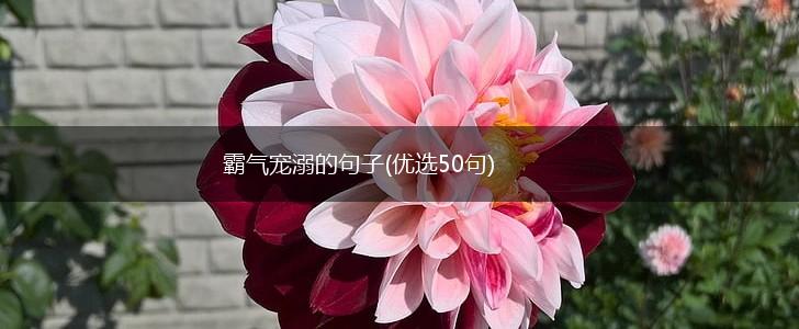 霸气宠溺的句子(优选50句),第1张