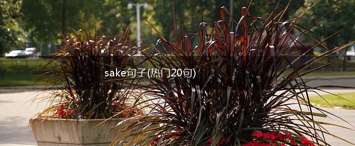 sake句子(热门20句),第1张