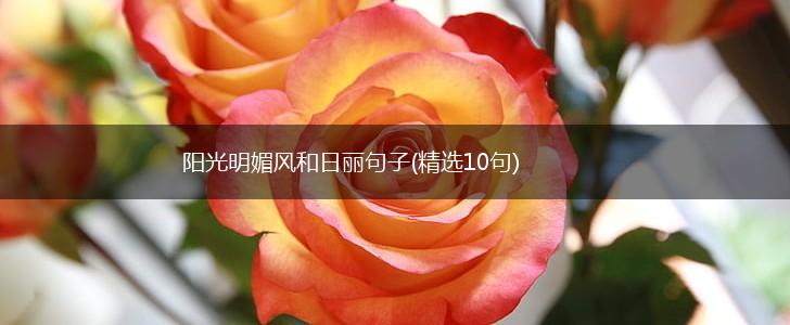 阳光明媚风和日丽句子(精选10句),第1张