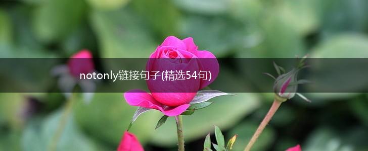 notonly链接句子(精选54句),第1张
