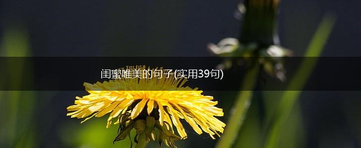 闺蜜唯美的句子(实用39句),第1张