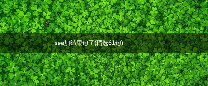 see加结果句子(精选61句),第1张