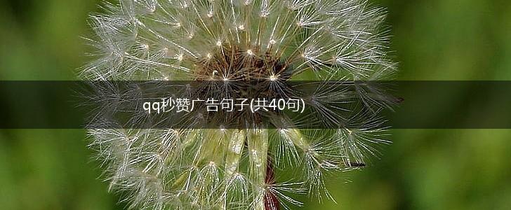 qq秒赞广告句子(共40句),第1张