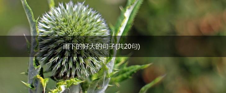 雨下的好大的句子(共20句),第1张
