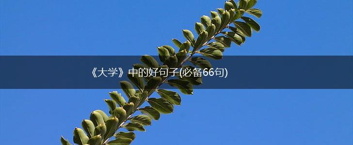 《大学》中的好句子(必备66句),第1张