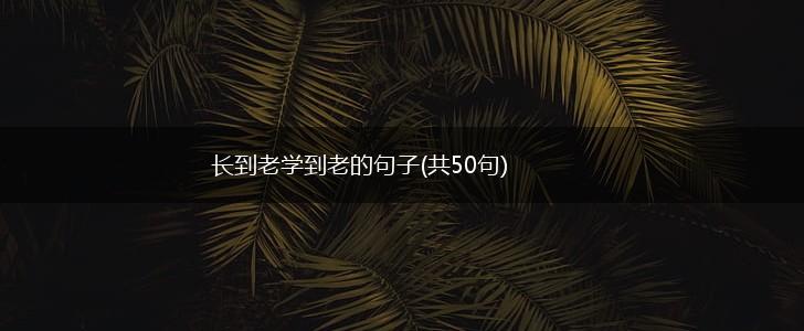 长到老学到老的句子(共50句),第1张
