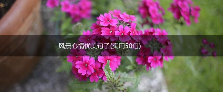 风景心情优美句子(实用50句),第1张