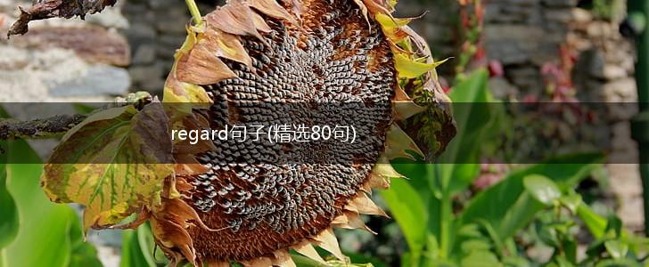 regard句子(精选80句),第1张