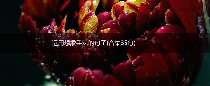 运用想象手法的句子(合集35句),第1张