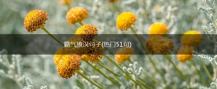 霸气撩汉句子(热门51句),第1张