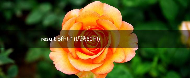 result of句子(优选60句),第1张
