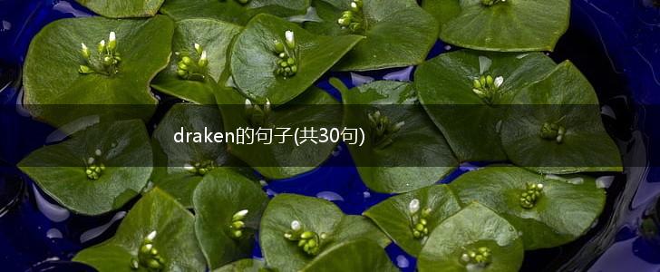 draken的句子(共30句),第1张