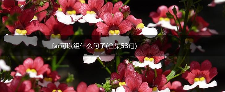 far可以组什么句子(合集53句),第1张