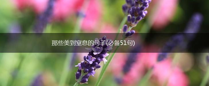 那些美到窒息的句子(必备51句),第1张