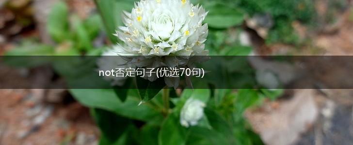 not否定句子(优选70句),第1张