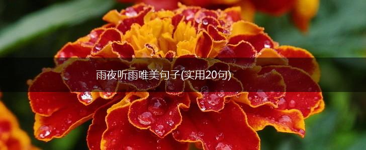 雨夜听雨唯美句子(实用20句),第1张