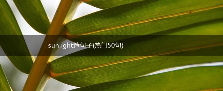 sunlight造句子(热门50句),第1张