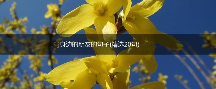 骂身边的朋友的句子(精选20句),第1张