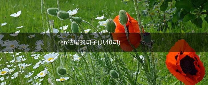 ren结尾的句子(共40句),第1张