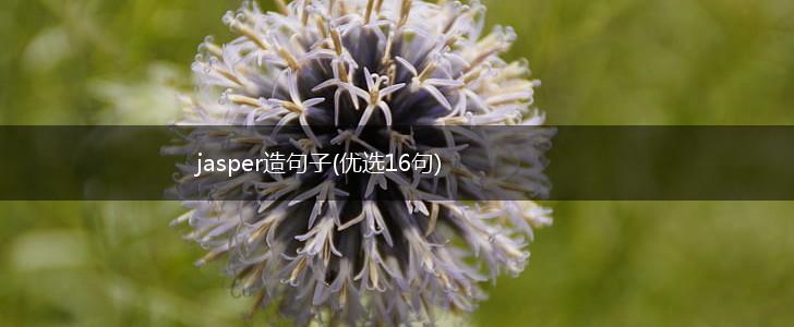 jasper造句子(优选16句),第1张