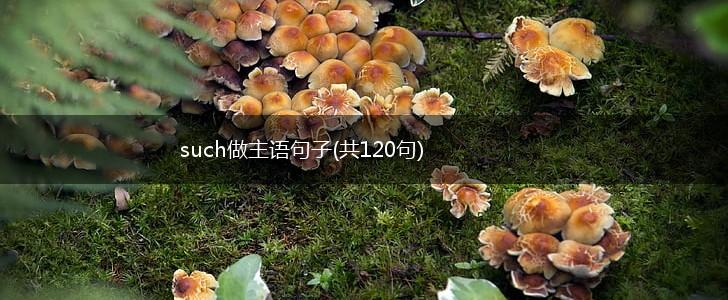 such做主语句子(共120句),第1张