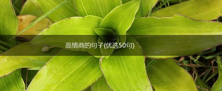 高情商的句子(优选50句),第1张