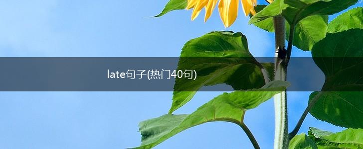 late句子(热门40句),第1张
