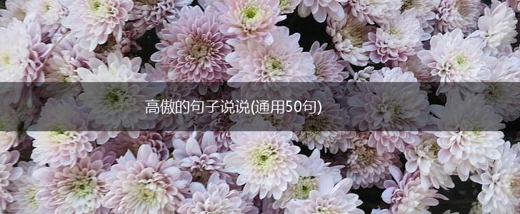 高傲的句子说说(通用50句),第1张